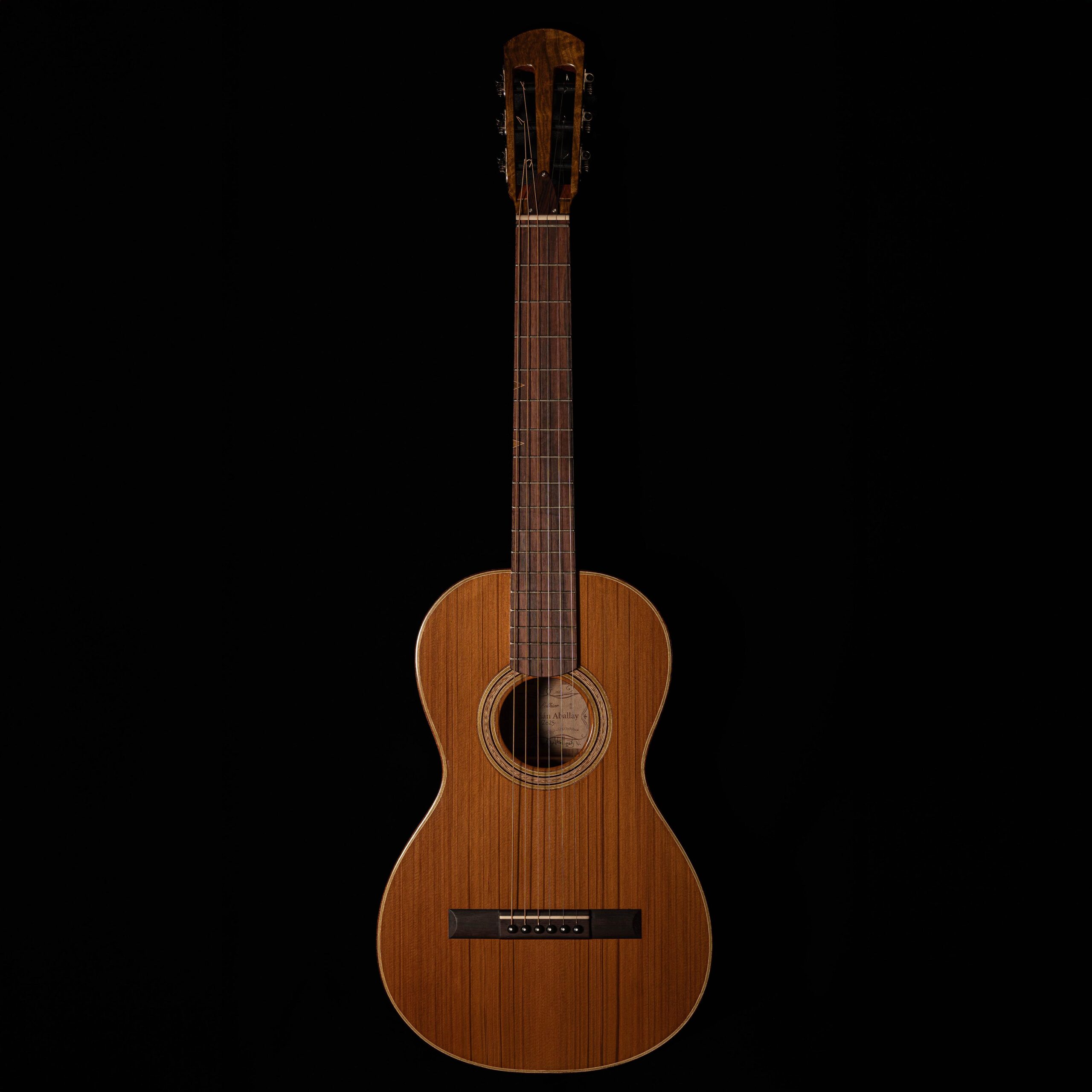 GUITARRA ABALLAY PAUFERRO