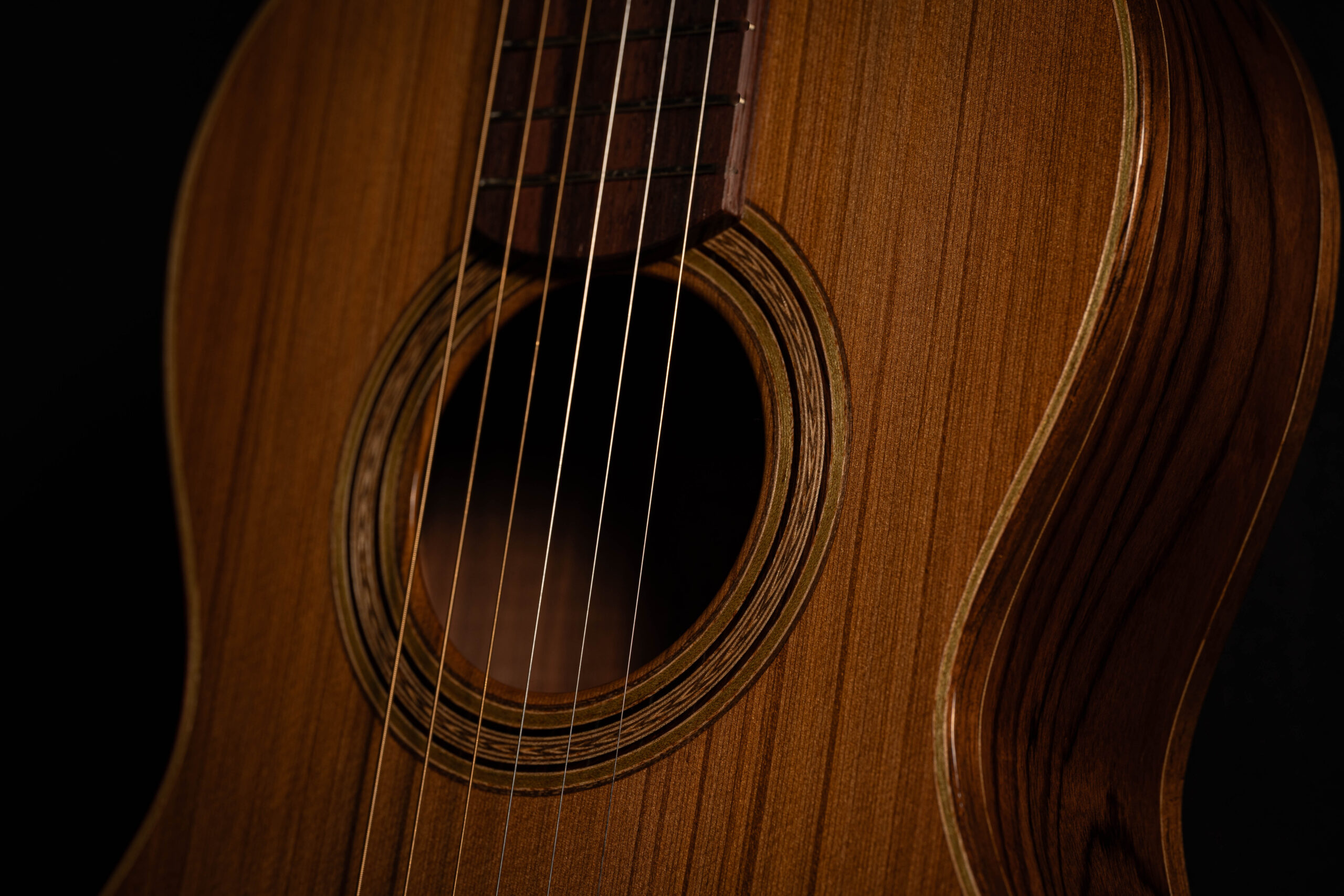GUITARRA ABALLAY PAUFERRO-10