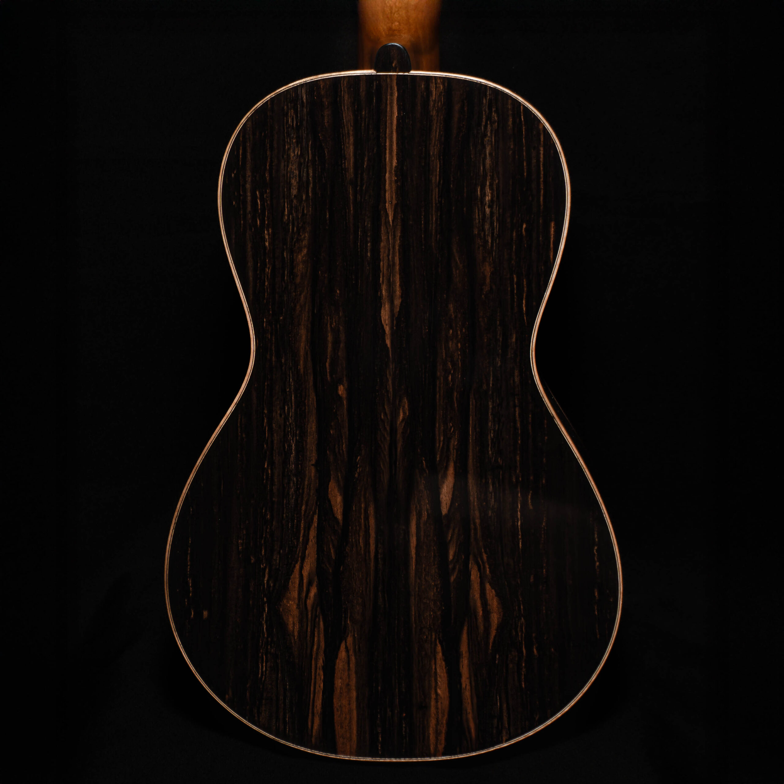 GUITARRA ABALLAY EBANO-4