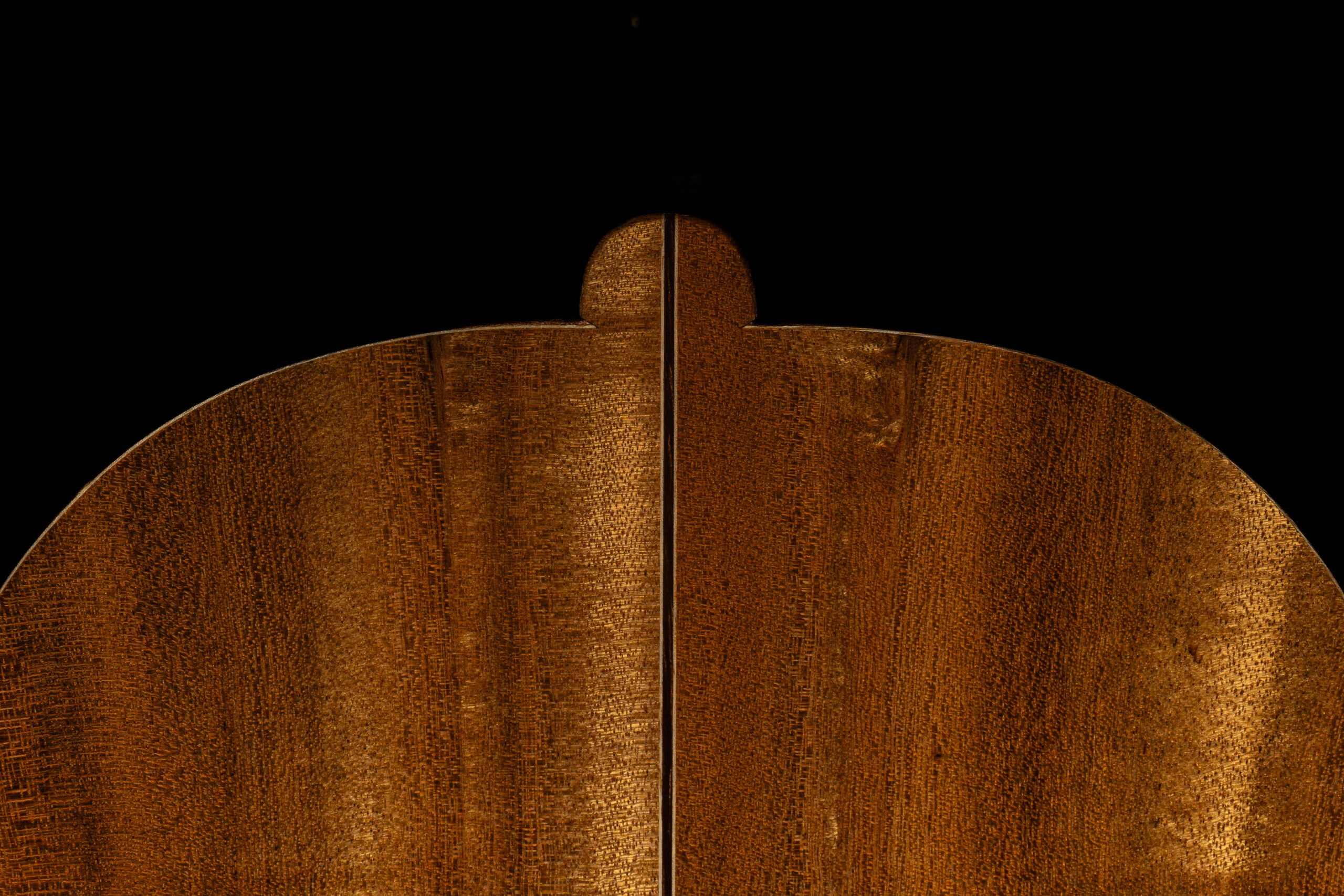 Tiple Aballay 2021-10